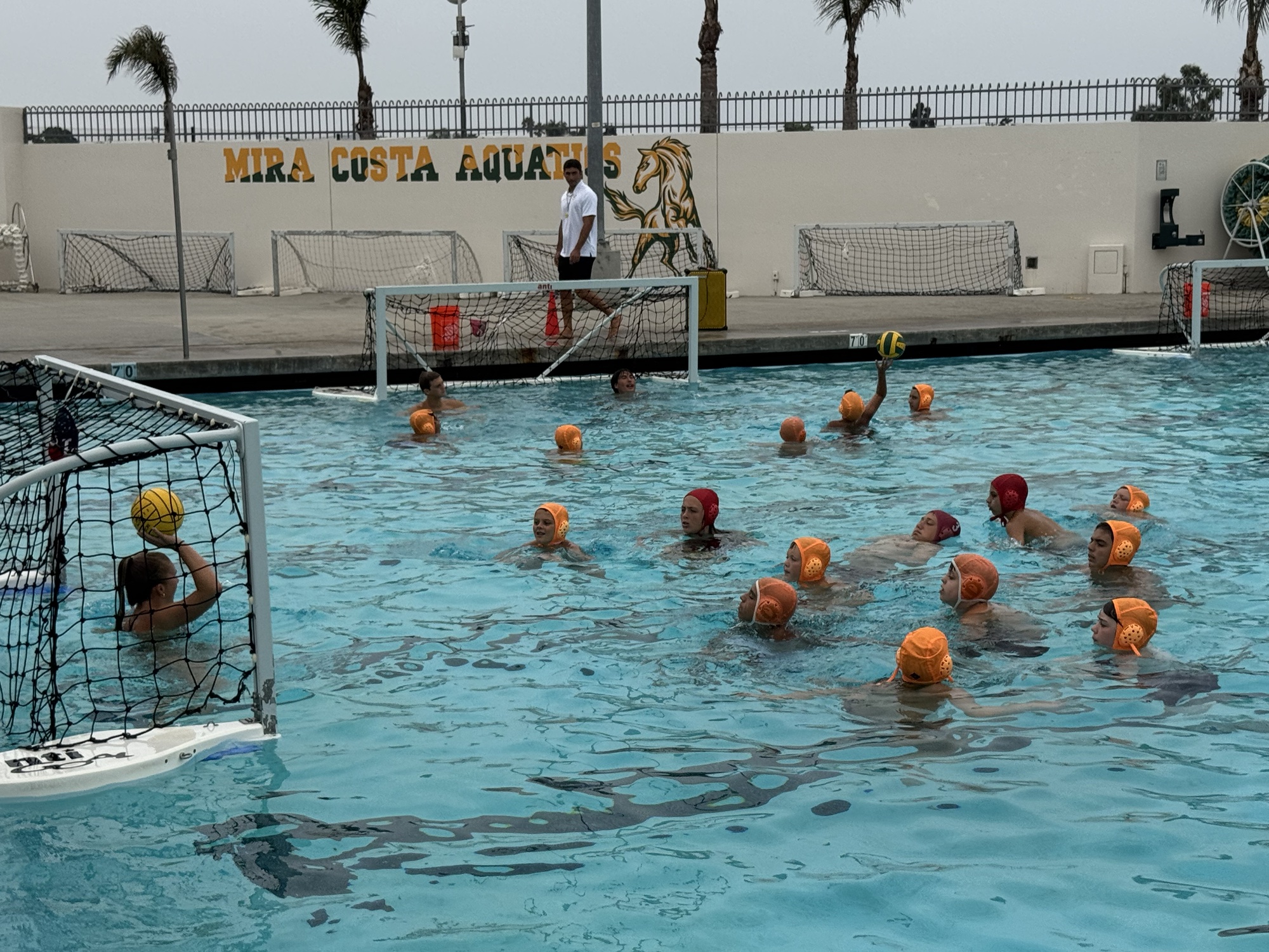 Mini Mustangs athletes practicing in the pool